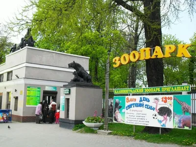Калининградский зоопарк приглашает