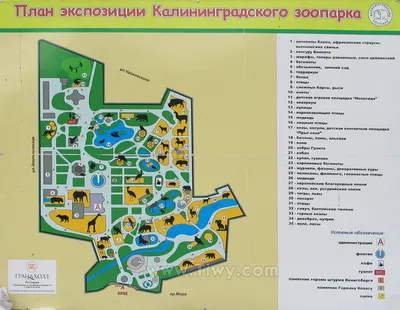Зоопарк, Калининград - «Зоопарк в Калининграде в 2019. Цены, как добраться,  какие есть животные. Общие впечатления. Спойлер: мы обязательно сходим туда  еще, и не раз!» | отзывы