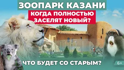 В Казанский зооботсад приехал слон Филимон