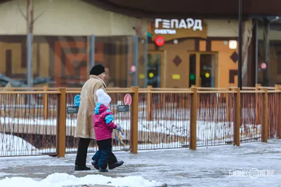 Власти рассказали, когда появится остановка у казанского зоопарка |  inkazan.ru | Дзен