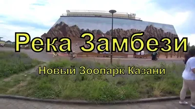 В казанском зоопарке «Река Замбези» поселились белые львы Крикс и Каспер -  Новости - Официальный портал Казани