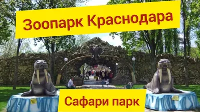 Сафари парк | Лучший зоопарк Краснодара. Звери со всего мира - YouTube