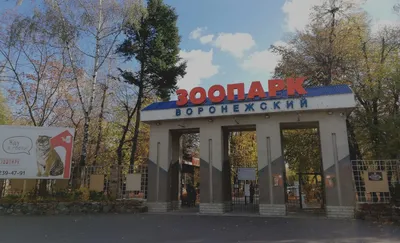 Visit Voronezh | Воронежский зоопарк им. А.С. Попова