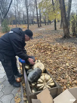 Как зоопарк и заповедник будут работать в Воронеже на июньских праздниках |  12.06.2021 | Воронеж - БезФормата