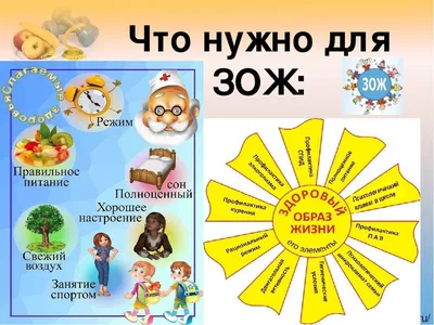 ГБДОУ детский сад №33 Адмиралтейского района СПб. Здоровый образ жизни (зож)  — образ жизни человека, направленный на профилактику болезней и укрепление  здоровья