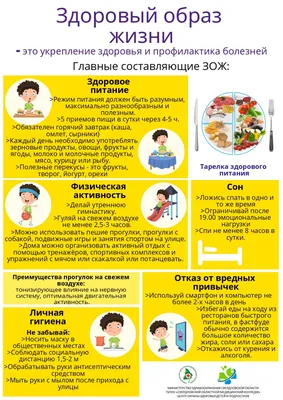 Все, что вы хотели знать о ЗОЖ | Блог 4brain