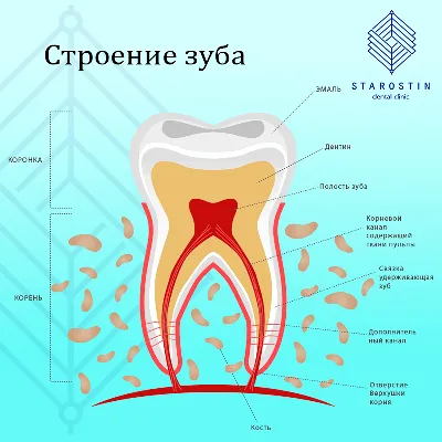 Вставные зубы – протезирование, имплантация