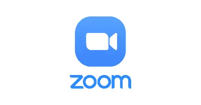 Zoom for beginners: how to best use the app for your video calls - The Verge