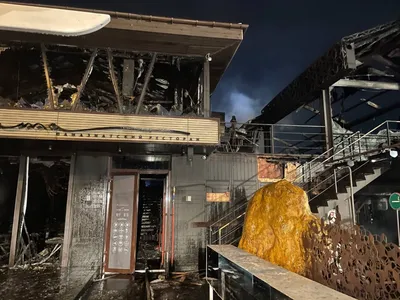 Жвачку из сгоревшего ресторана во Владивостоке продают за тысячу долларов -  РИА Новости, 07.12.2022