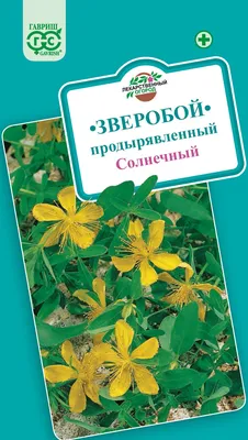 Купить Зверобой (трава) Лекра-Сэт 20 пакетиков недорого в Москве