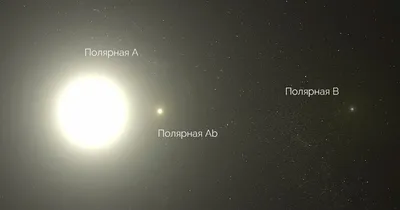 Звезда размером с Солнце пронеслась через нашу систему и изменила ее.  Читайте на UKR.NET