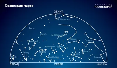 Купить обои Обои Звёздное небо в интернет-магазине в Москве от  производителя Designecoprint